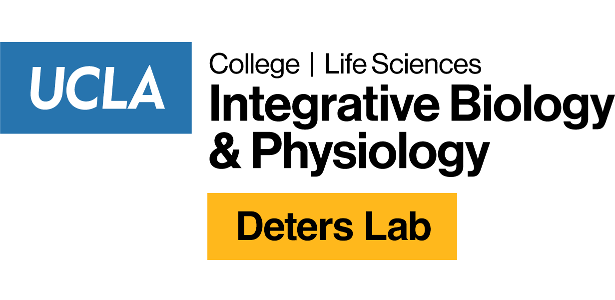 Kacie Deters Lab